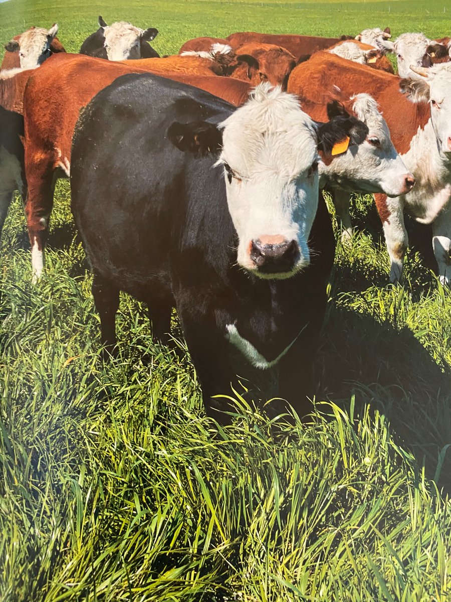 Cliff Upton tweet media