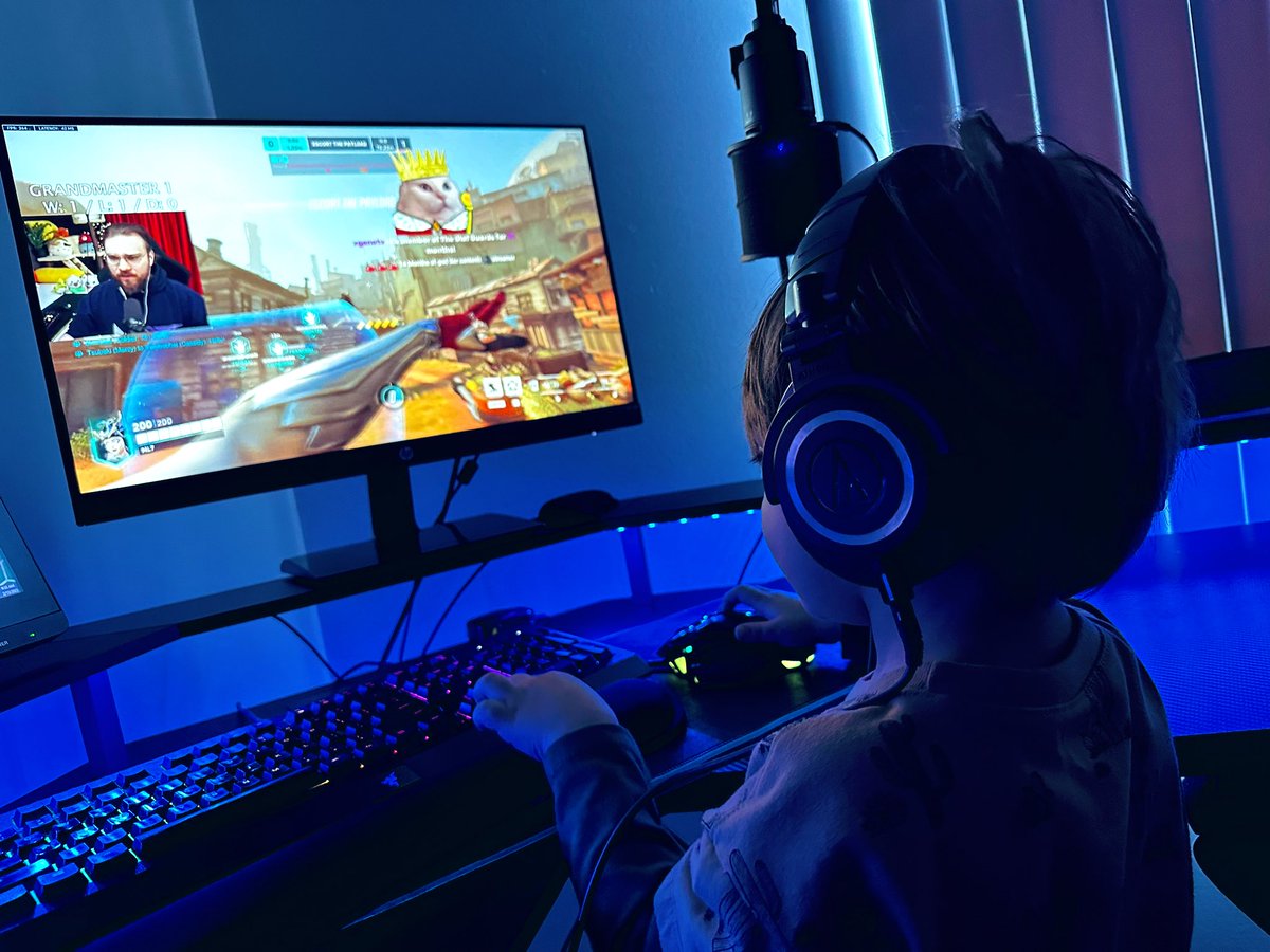 Meowizza tweet media