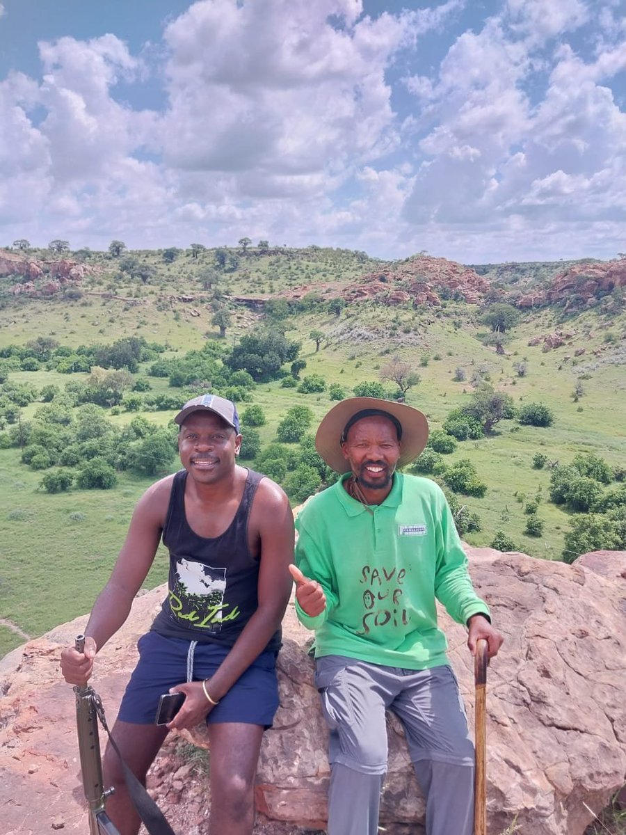 HeadlinesMzans's tweet photo. 11 February: A special day

My 200th day of walking!

Mapungubwe Hill - one of the many civilizations that flourished some 1000 yrs ago &amp; fell due to poor soil &amp;  food shortage.

Also,  the day Nelson Mandela was released in 1990🙏

#SaveSoil #SaveSoilMovement @cpsavesoil https://t.co/TuCvKuUxyQ