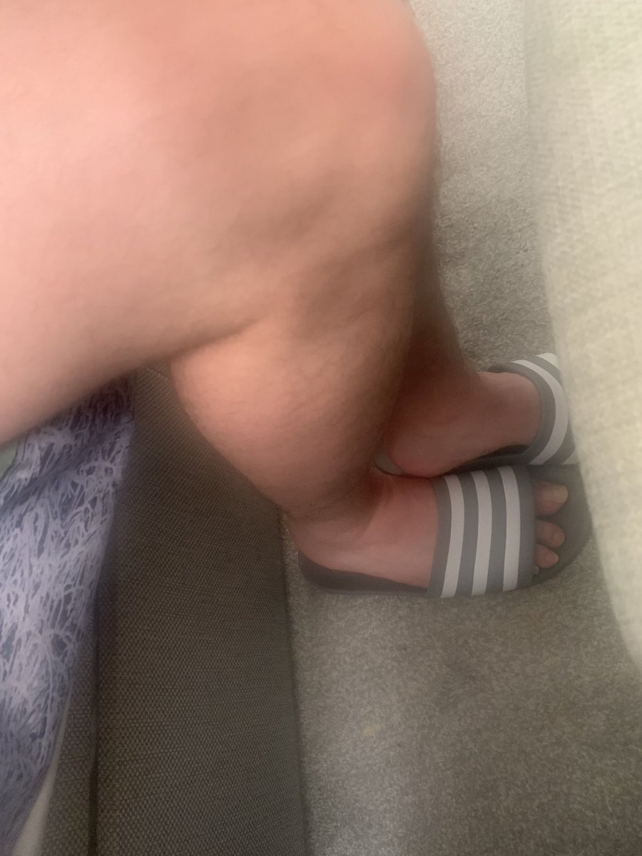 nonbinary80's tweet image. 