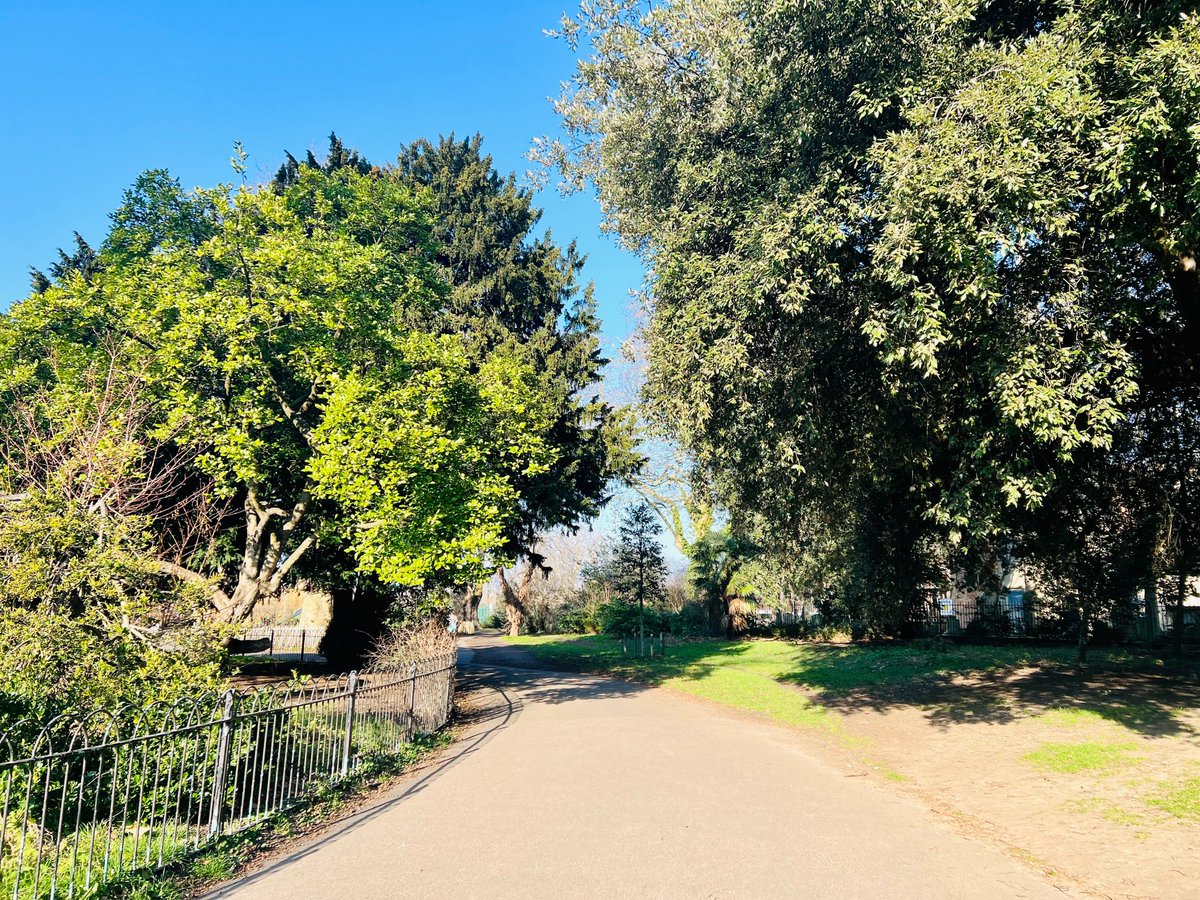 Nancy Adimora tweet media