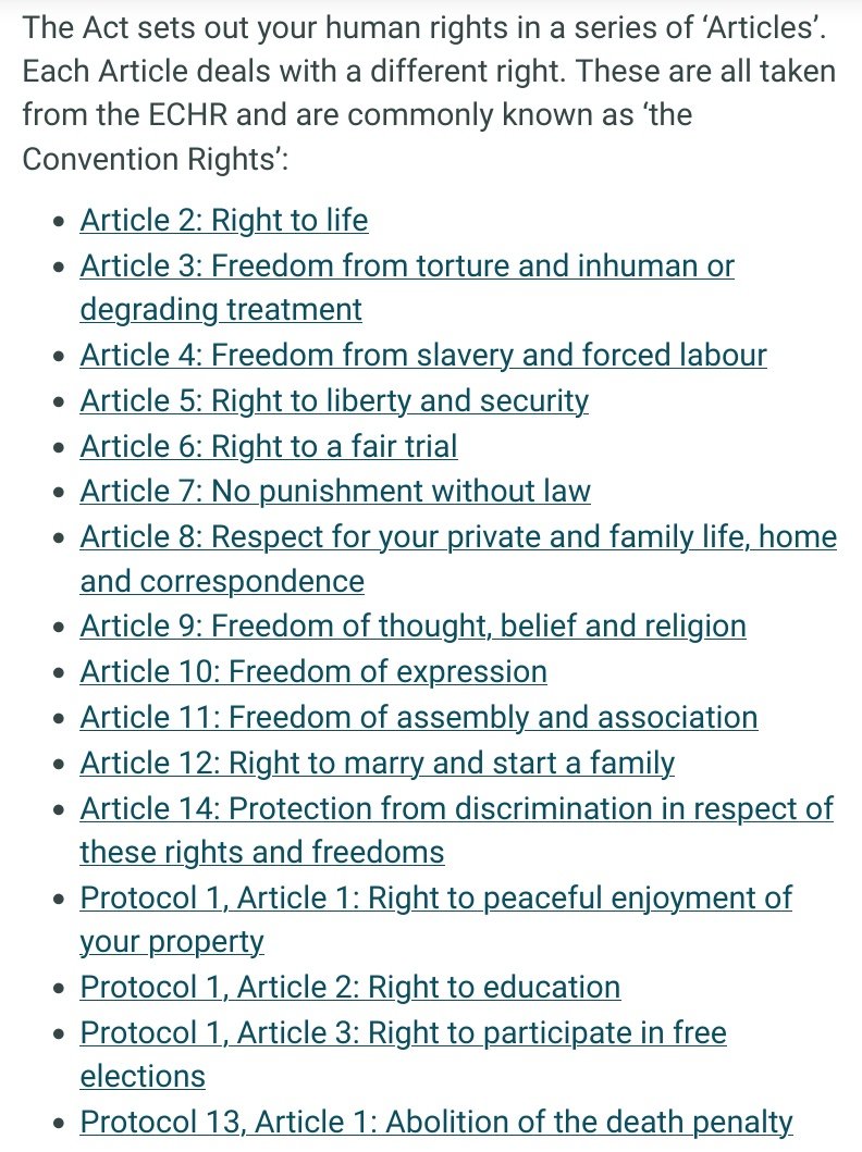 For anyone thinking of supporting this corrupt government in coming out of the ECHR and thinking that it will stop the small boats, are you also prepared to sacrifice the following for you, your kids and your grandchildren.
#CorruptConservatives #ToriesDestroyingOurCountry