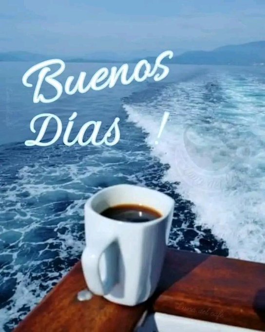 yusleimygr's tweet photo. @Angel98845187 @LenadoresEn @DeZurdaTeam_ @YAVelzquez1 @Amalialvarez10 @LipsiLeyva @AliceZurdita @MariposaRebeld1 @zurdoBo7 @SucelF1 @gracie_teresita @Emp_Avilmat @PaulinoPrezVie1 
Buenos días, feliz comienzo de semana. https://t.co/4w2uWXS3hn