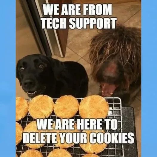 Best IT Department Ever 😀🐾

Happy Monday Folks! 🐶
  
Community Bark Dog Wash &amp; Groom - See what we're barking about!
2430 S Kinnickinnic Ave.
Bay View, WI 53207
Text or Call:(414) 744-2275
communitybark.net
#Dogmeme #dog #funny #puppies #communitybark