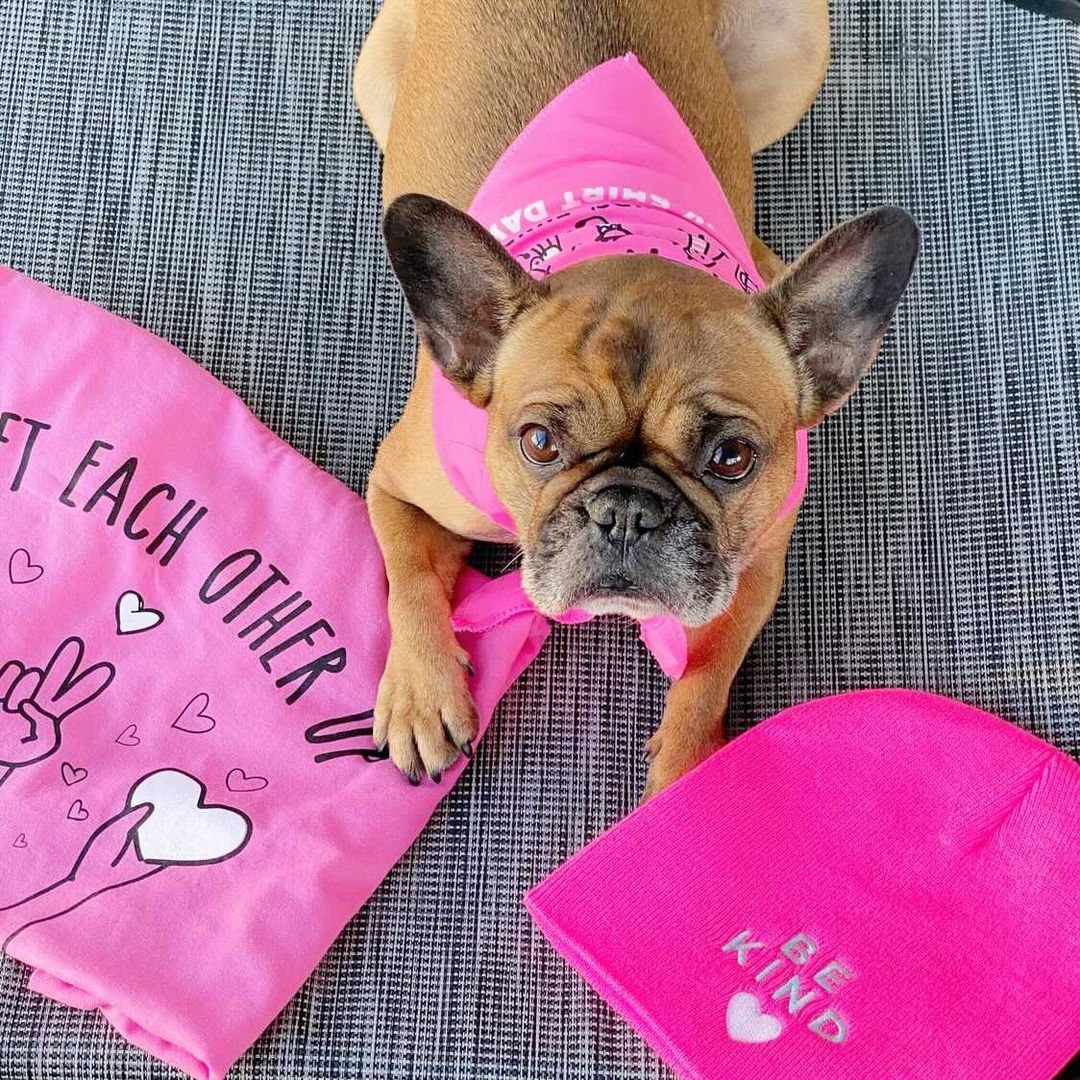 Oh hey Coco and Ollie 🐾 Will you look this adorable in our #PinkShirtDay gear? We can't make any promises, but it's always worth trying! A big furry shoutout to these two (and their owner) for supporting the kindness movement 😊