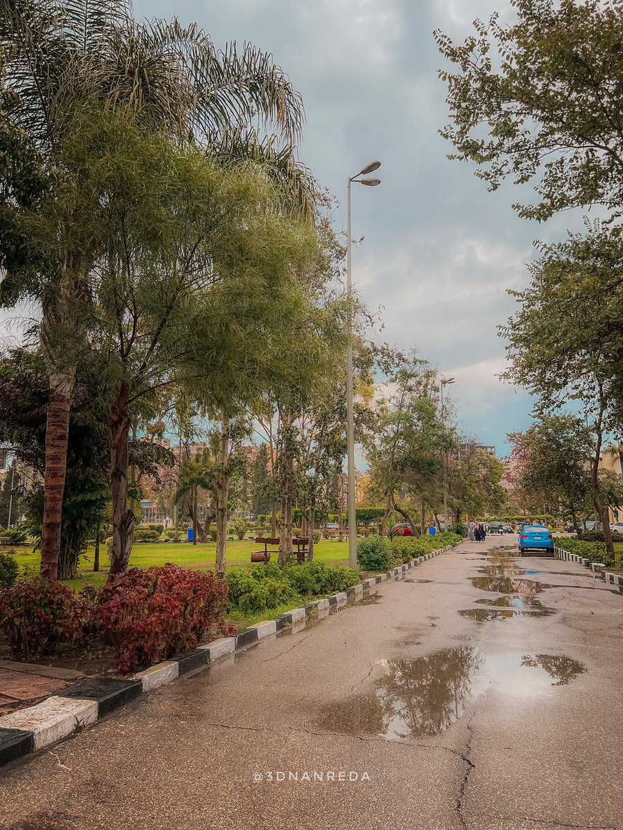 3dnanreda's tweet photo. شتاء فبراير جامعة المنصوره 🌧️ https://t.co/rl76mxmRQH