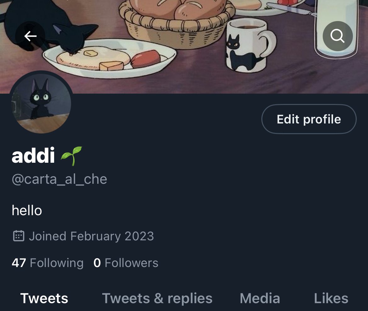 I’M RESTARTING, last time i tried twitter went down so i’m trying again. my new account is <a href="/carta_al_che/">addi</a> so please follow me over there as i want to be more active! 😁😁