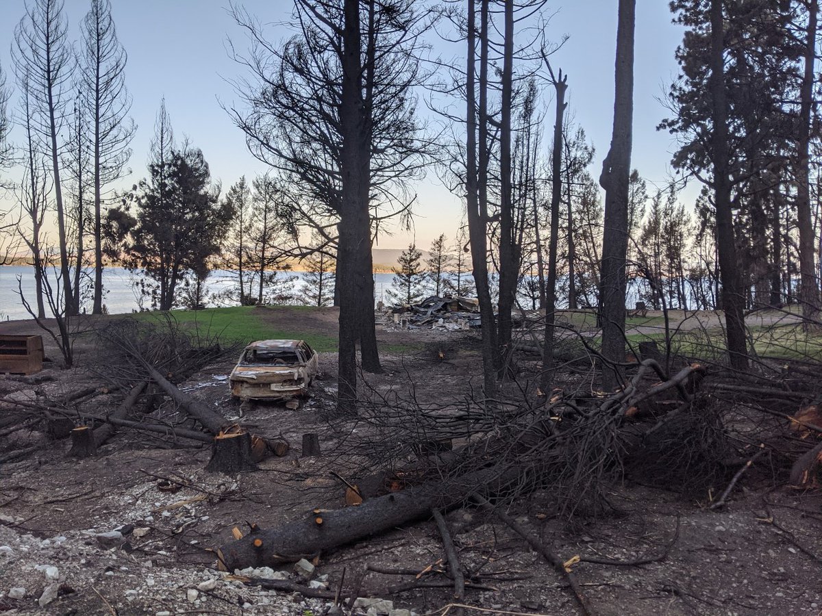 PNASNexus's tweet photo. An analysis of 15,001 wildfires across 11 US Western states shows a 246% rise in buildings lost to wildfires between 1999–2009 and 2010–2020. Human-caused ignitions and construction in flammable areas were key drivers of the trend. In PNAS Nexus: https://t.co/ahJETI1Pi4 https://t.co/rxbhTnNeeK