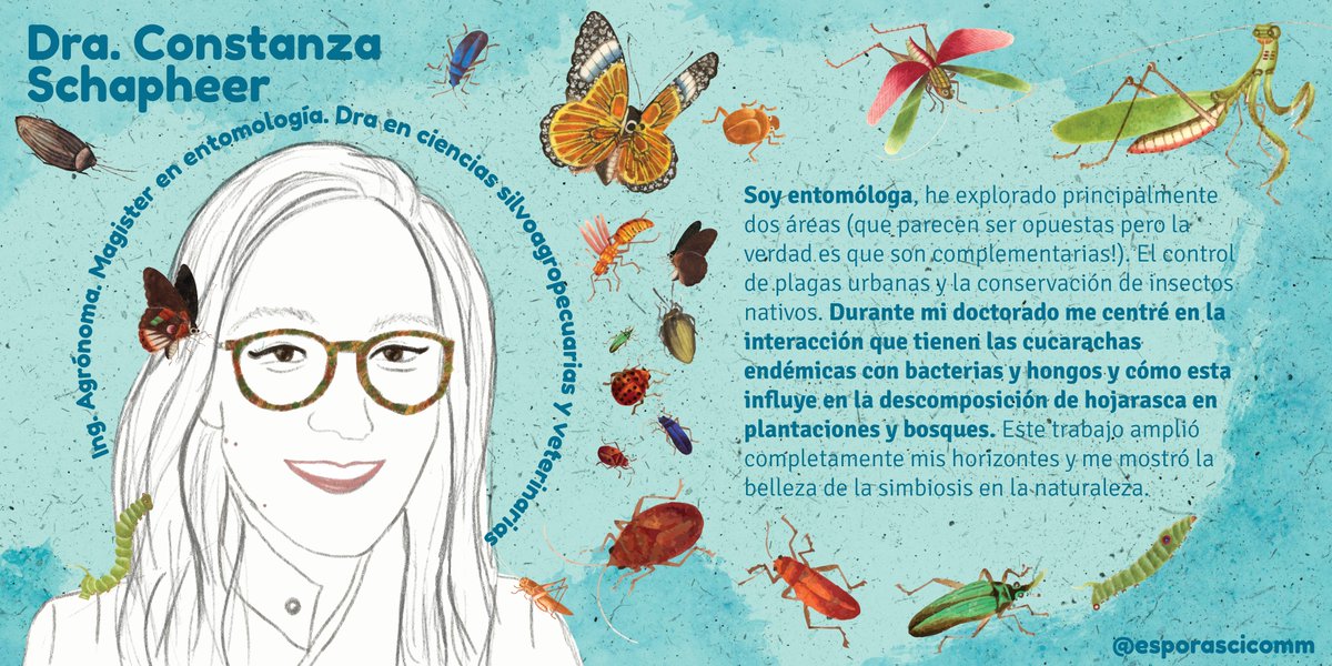 EsporasLab's tweet photo. 🟢✨ Para inaugurar este nuevo ciclo de mujeres en ciencia,  🦗🦟🦋 la gran @CSchapheer  🇨🇱 🔬 Ingeniera Agrónoma, Magister en entomología y Doctora en ciencias silvoagropecuarias y veterinarias 🔎🐛🐜🐞

🌐 Redes y proyectos: IG: @cota_kaiju y @_simbiosis_

#mujerescientíficas https://t.co/Hsyp48JSyz
