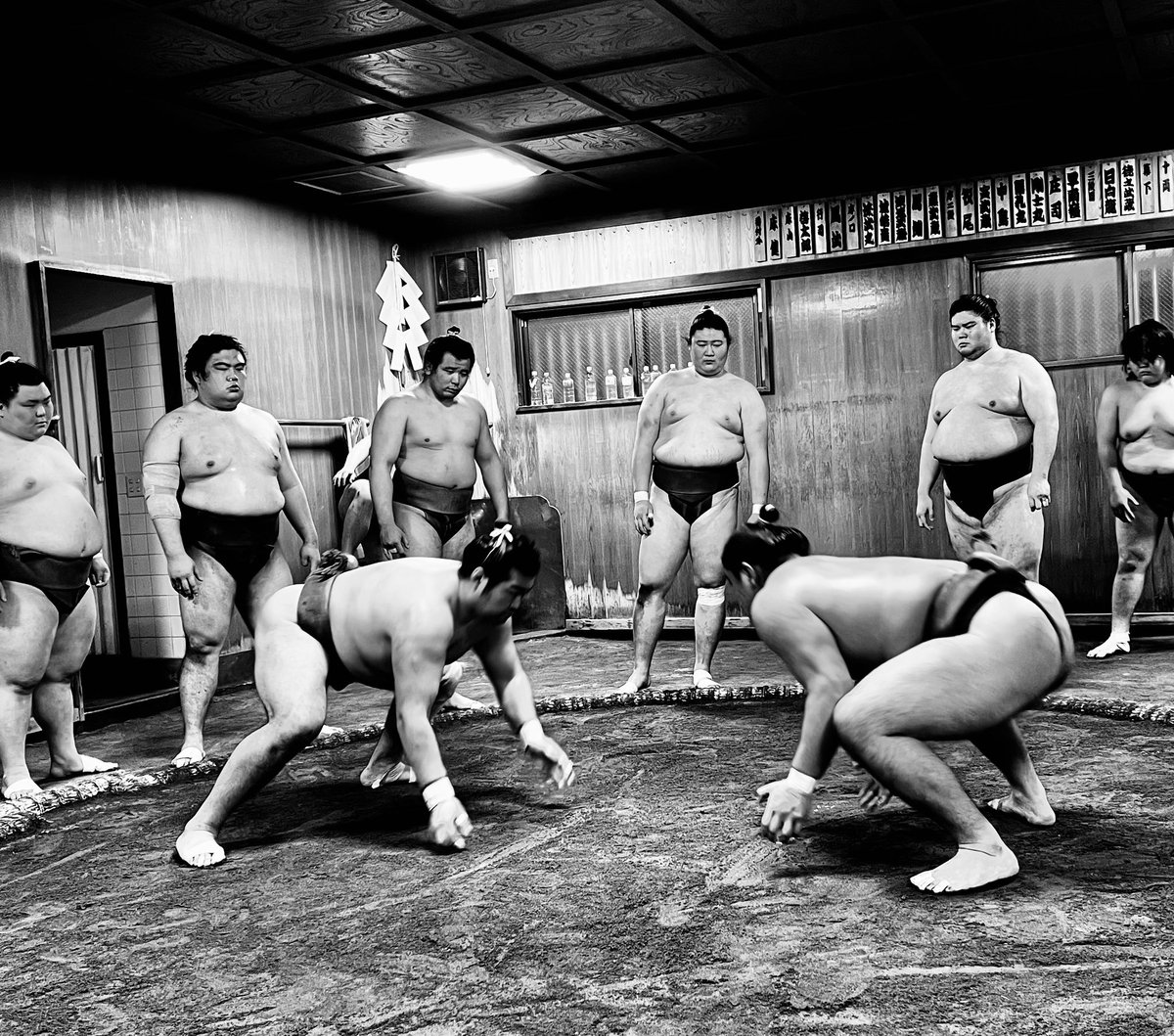 KonishikisWORLD's tweet photo. 武蔵川部屋朝ケイコ大阪場所向かってのケイコですよー気持ちよくケイコしてますよ。#sumo #musashigawabeya #konishiki #narotv #mma #culture #japan #rikishi #hardwork #bedabest #tokyo #youngmen https://t.co/Mr8ZFmddKK