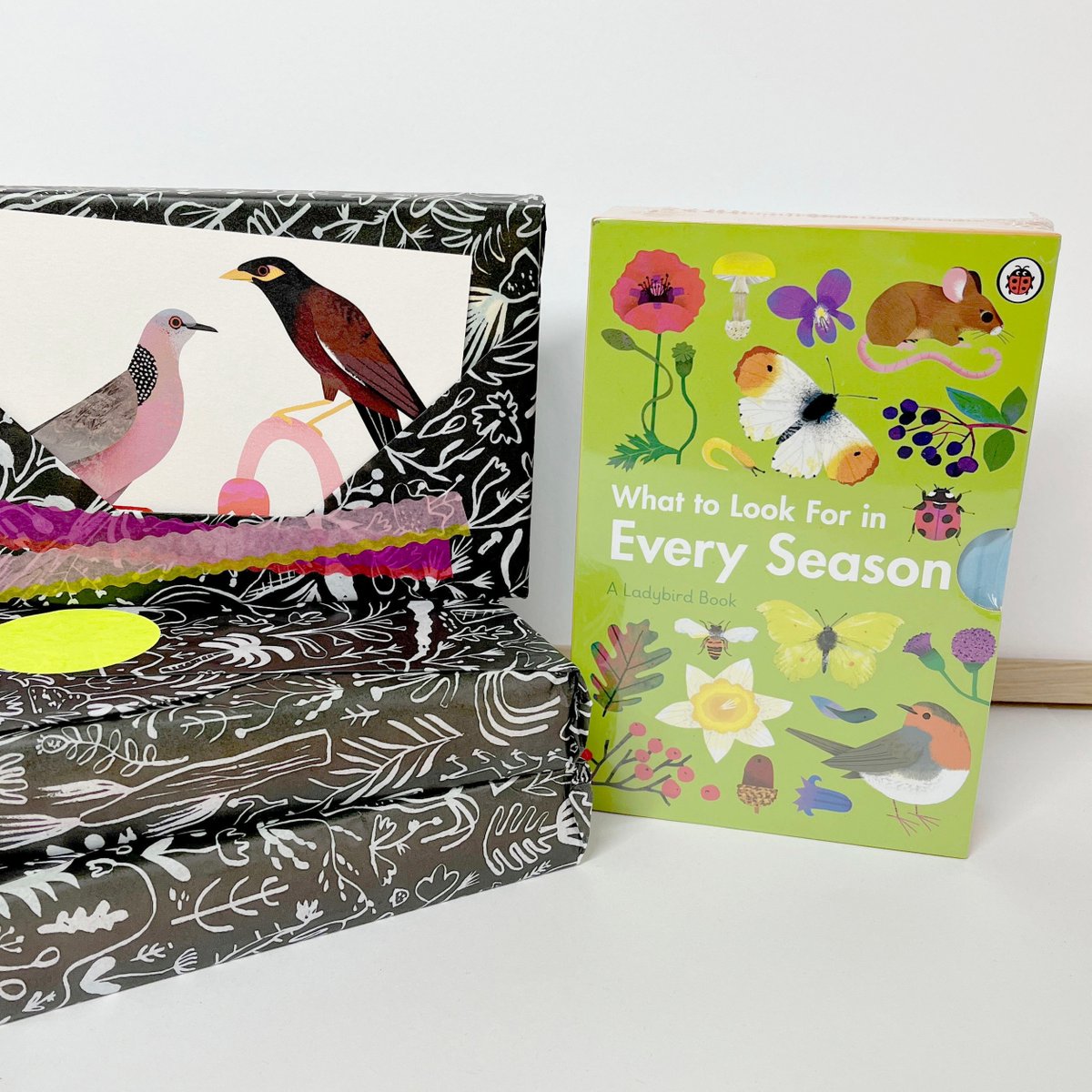 I'm down to the last few of these little book sets. All sets contain four 'What to Look For in' books. But the next lucky person to place an order will get this special edition set with a special book box container. 

sunnybeast.com/products/what-…