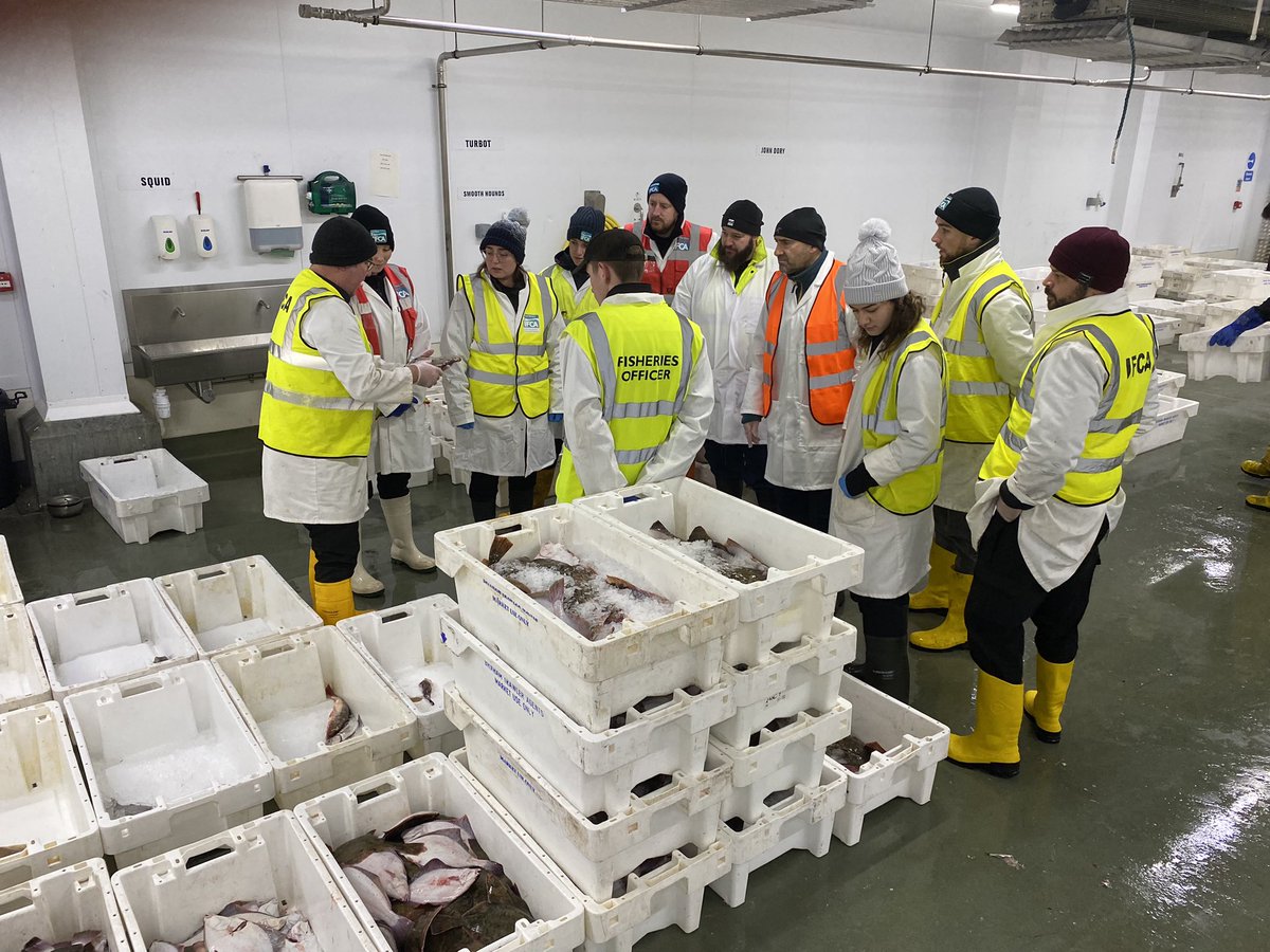 SouthernIFCA's tweet photo. IFCOs have attended the IFCA Officer Training Course in Torquay, thanks to our guest speakers from @seafishuk giving a input on fishing gear @The_MMO for their input on their remit &amp; joint working, @Brixhamfishmkt for access to the market. #Training #Fisheries @AssociationIFCA https://t.co/tTeETJl6vo
