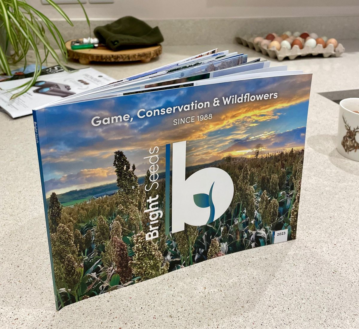 Our brand new 2023 brochure is out now! It contains information on all our game cover seed and conservation mixtures along with various case-studies, and lots more. 🌱

🖥️ View here - brightseeds.co.uk/files/pdf/page…

Or contact us for a copy 

📧 sales@brightseeds.co.uk

☎️ 01722744494