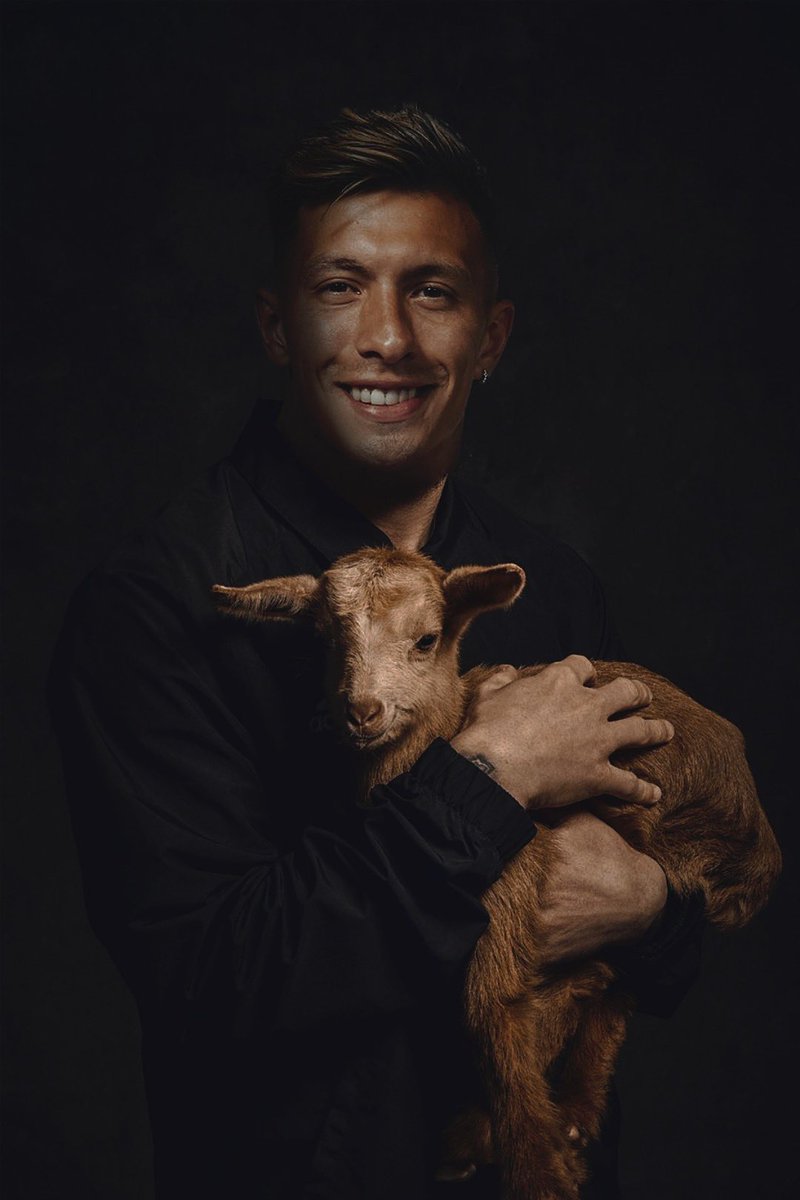 BridgeTheGap33's tweet image. Day 1 of tweeting @LisandrMartinez until I get a signed shirt