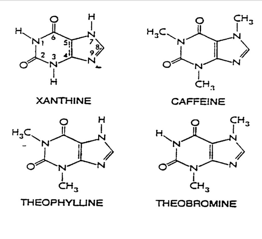 rocio_nrp's tweet photo. La cafeína es un alcaloide también llamado 1,3,7-trimetilxantina y pertenece al grupo de las metilxantinas  como la teofilina (teína 🍵) o la teobromina 🍫 https://t.co/ICkQYOzMH1