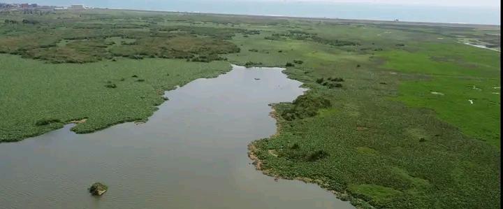 arochaknust's tweet photo. 🌳🐘 *A ROCHA - KNUST*🐘🌳
➖➖➖➖➖➖➖➖➖➖

It wasn't all doom and gloom at the Sakumo Ramar site. Take a look at some heartwarming  photos. The site has potential. Let's save what is left of it.
#WorldWetlandsDay  #RestoreGhanasWetlands https://t.co/AvPwv3MGfu