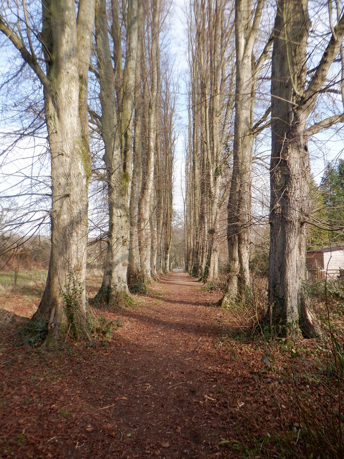 Duncan_Smart1's tweet photo. Sun 12th Feb 8 miles on another recce - this time from The Woodshed, #GeoparkWay @EastnorCastle estate to The Obelisk, Peacock Villa, Netherton Farm, #KilburyCamp, Bradlow, "Cut Throat Lane", @Ledbury YTD 137.5 miles of #walk2023 An excellent walk on a perfect day! https://t.co/bQkIswCZH6