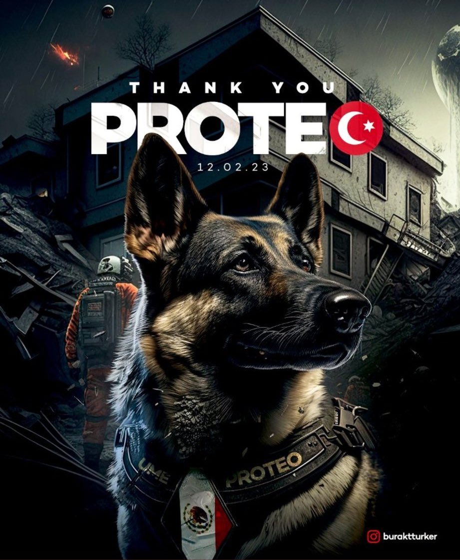 Proteo is from Mexico 🇲🇽 he saved 15 lives under the ruins in an Earthquake catastrophe in Türkiye 🇹🇷 unfortunately, he died when the ruins collapsed🙁