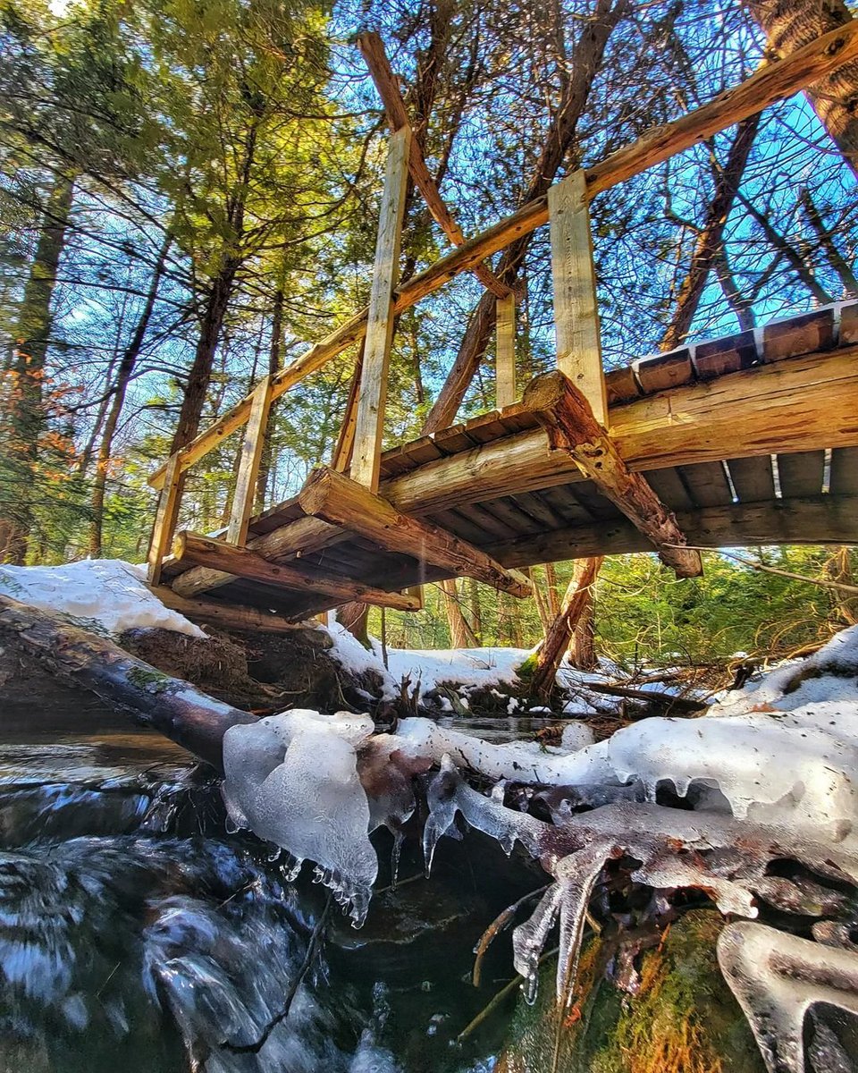 kawarthaNOW's tweet photo. Good Monday morning our #kawarthapeeps from Kirk Hillsley on the Millbrook Valley Trails.  Follow the photographer Kirk Hillsley on Instagram at https://t.co/4lPnWLb2CQ

#millbrook #millbrookON #millbrookvalleytrails #cavanmonaghan #ptbocounty #ptbokawartha #winterinthekawarthas https://t.co/WgU7PkI2IV