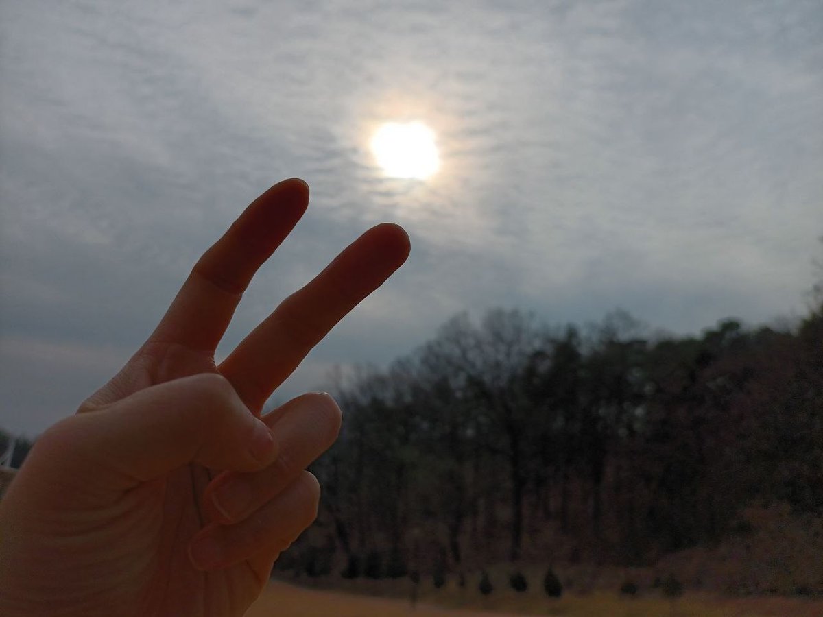 joyraon486's tweet photo. #핑거피스 #iwpg #평화 #dpcw10조38항 #세계여성평화그룹 #세계평화 #우크라이나에평화를 https://t.co/plzo69yRbV