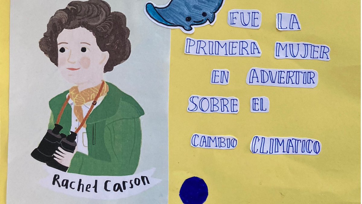 Colegio Bernadette tweet media