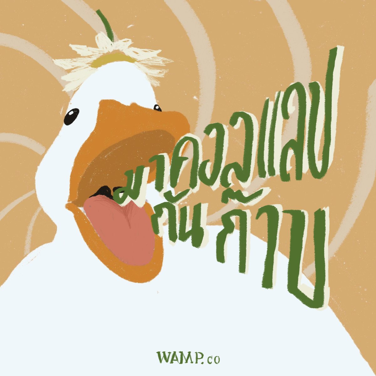Wamp Co. tweet media