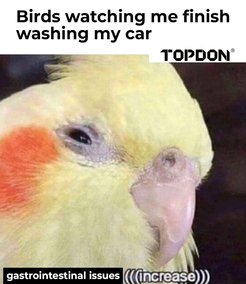 What are these birds eating?

#TOPDON #memes #birdsarentreal