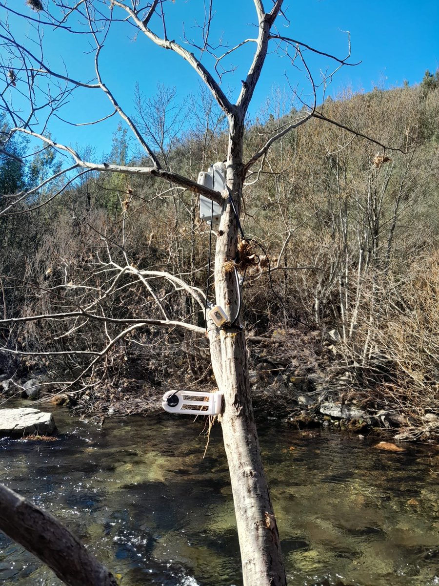 EcoPeak4Fish tweet media