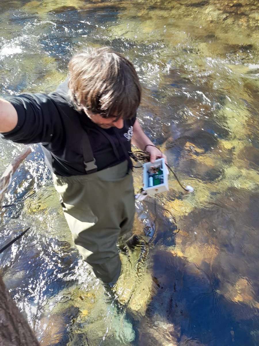 EcoPeak4Fish tweet media