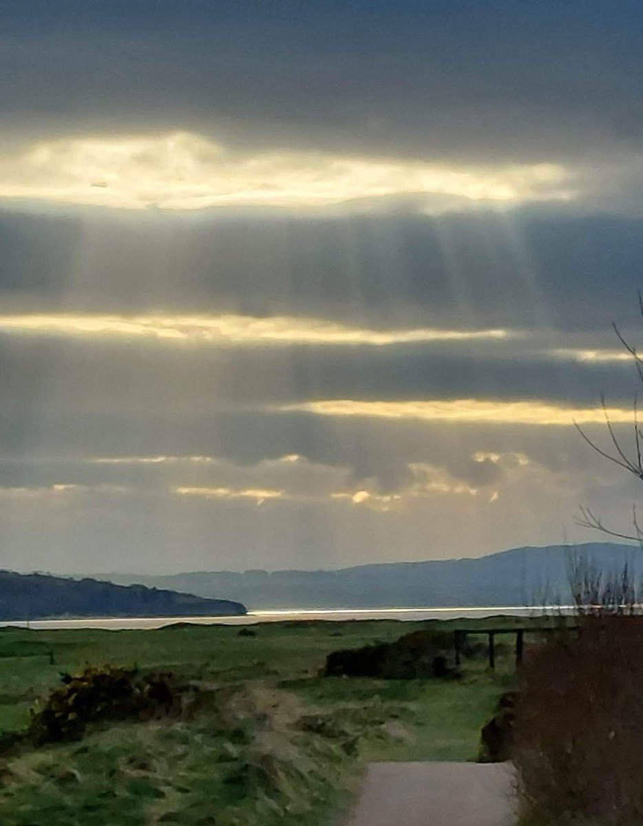 AdvanceLandsca1's tweet photo. Back to the grind today @NorthWestGC . What a great week @GCSAAConference networking, education and meeting some great people. #GIS2023 #Golf #DonegalGolf  @IrishGolf #Florida https://t.co/lSThKdl7Ym