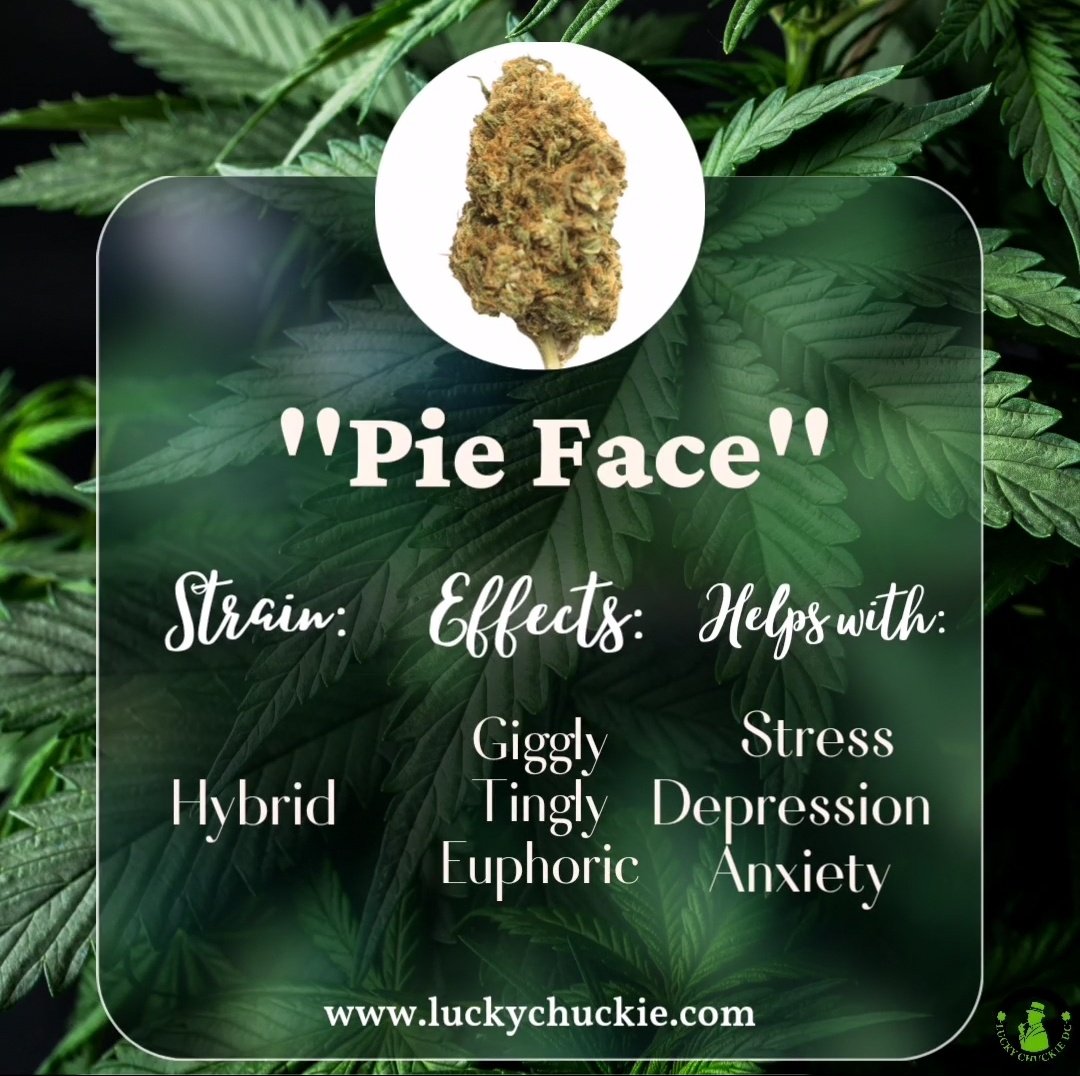 luckychuckiedc's tweet photo. Being glum all the time will lead you nowhere. Why not do something to make you feel giggly and happy?😊🎉
📣 NOT FOR SALE
#luckychuckiedc #washingtondc #pieface #giggly #dmvdelivery #partybusdmv #strainguide #thingstodoindc https://t.co/3SUUMvC0bF