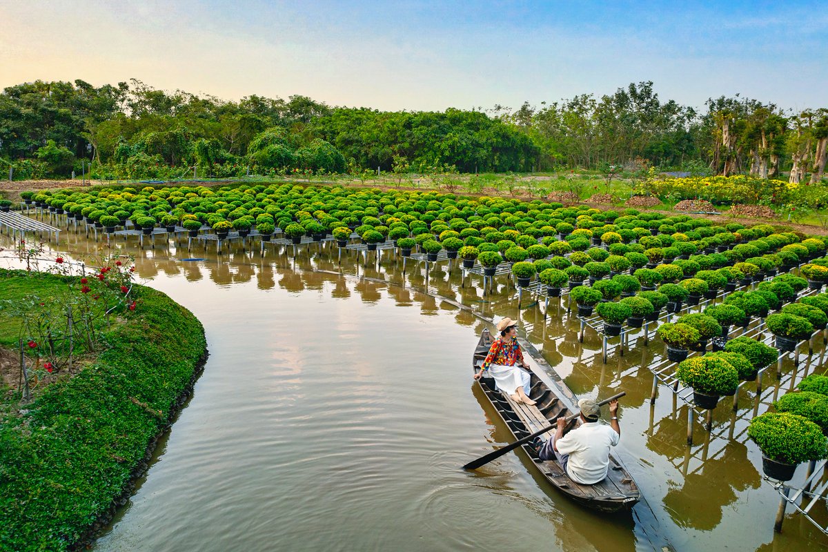 Cultivo de flores, Đồng Tháp , #Vietnam 🇻🇳 De aquí son las flores que me vais a regalar por San Valentín. 📷⤵️ Văn Long Bùi Water Alternatives Photos flic.kr/p/2nGK5eW