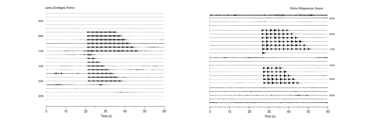 #WiggleWednesday Seismometers have been used to record bell ringing in different countries. Characteristics of seismic signals highlighted differences between countries in how long and when they rang the bells! Find out more here: doi.org/10.1007/s10950…