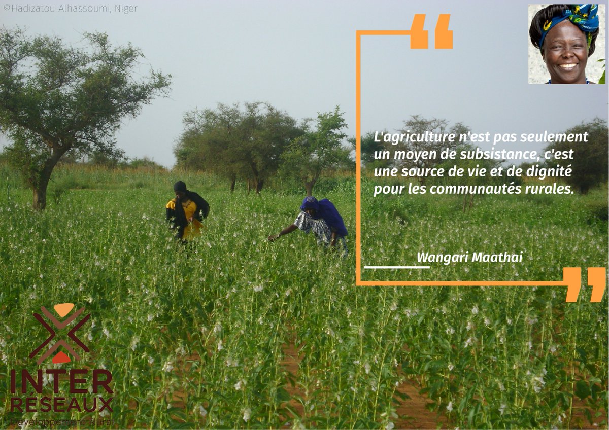 interreseaux's tweet photo. 𝗦𝗼𝘆𝗼𝗻𝘀 𝗳𝗶𝗲𝗿𝘀 𝗱𝗲 𝗹'𝗮𝗴𝗿𝗶𝗰𝘂𝗹𝘁𝘂𝗿𝗲 𝗲𝘁 𝗱𝗲 𝘀𝗼𝗻 𝗶𝗺𝗽𝗮𝗰𝘁 𝘀𝘂𝗿 𝗹𝗲𝘀 𝗰𝗼𝗺𝗺𝘂𝗻𝗮𝘂𝘁𝗲́𝘀 𝗿𝘂𝗿𝗮𝗹𝗲𝘀 𝗲𝗻 𝗔𝗳𝗿𝗶𝗾𝘂𝗲 𝗲𝘁 𝗽𝗮𝗿𝘁𝗼𝘂𝘁 𝗱𝗮𝗻𝘀 𝗹𝗲 𝗺𝗼𝗻𝗱𝗲
#BonneSemaine #MotivationMonday
#SemainePositive
#Positivité https://t.co/k1NtowFnkc