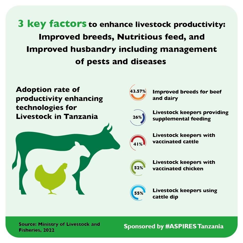 There are 3 key factors to enhance livestock productivity: Improved breeds, Nutritious feed, and Improved husbandry including management of pests and diseases. However, there is still room for improvement in Tanzania....