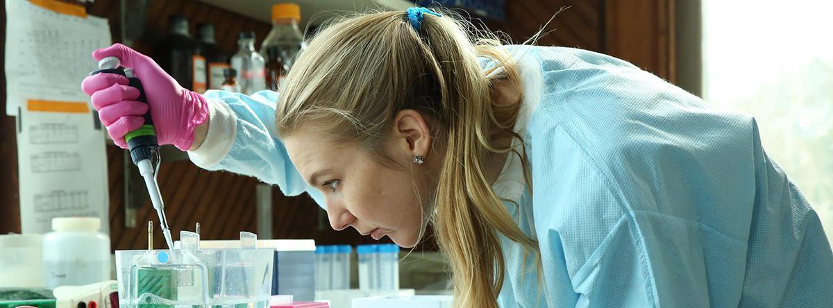 International Day of Women and Girls in Science, 11 February

Women and girls play a critical role in science and technology communities and that their participation should be strengthened.

#GATEproject #education #gender #equality gateproject.eu