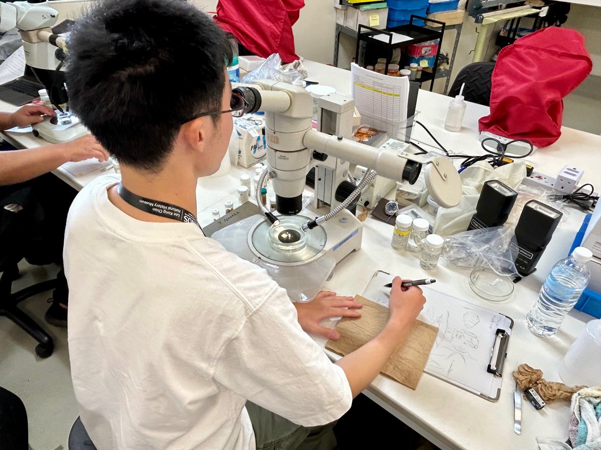 Lee Kong Chian Natural History Museum tweet media