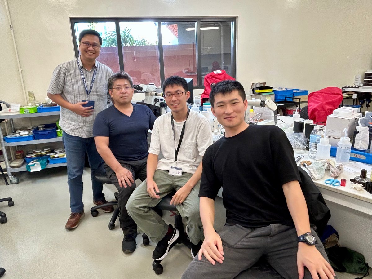 Lee Kong Chian Natural History Museum tweet media