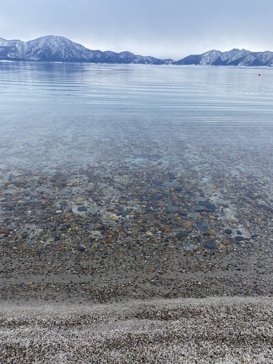 秋田犬にも会ってきた🐶結構大きくて力が強い…！セーターと手袋をちぎられかけた（笑）めっちゃ可愛かった🥰田沢湖の近くに見学所があったから、湖にも寄ってみたけど水がすごい綺麗だった🙂