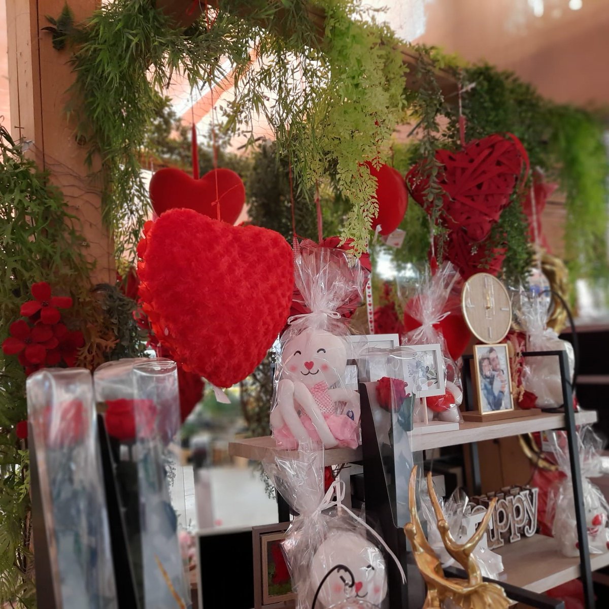ViverosAznar's tweet photo. Muchas más sorpresas y regalos en Viveros Aznar.
.
.
.
#flloresznar #viverosaznar #flores #plantas #vivero #viverozaragoza #zaragoza #zgz #plantlover https://t.co/mqJsIk2hxR