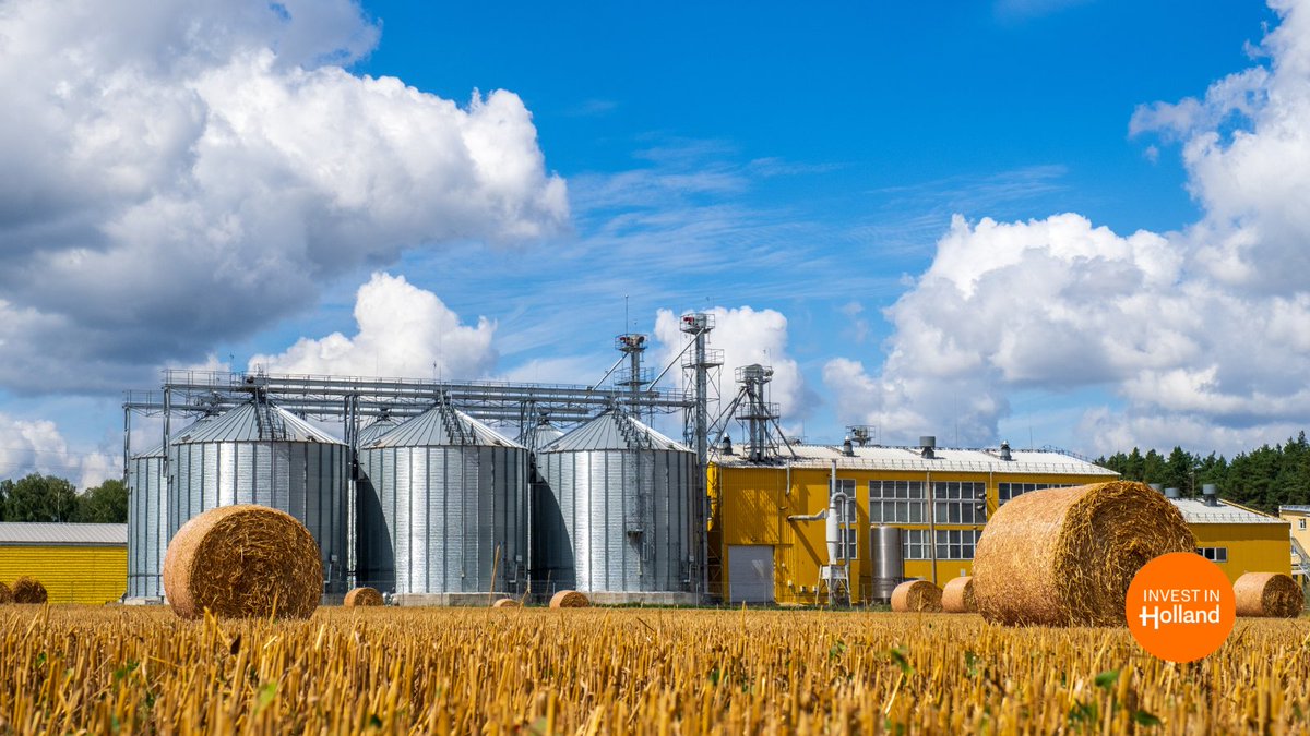 Fuelled by world-class research institutes, the Netherlands offer businesses global solutions for #FoodSustainability. investinholland.com/doing-business…