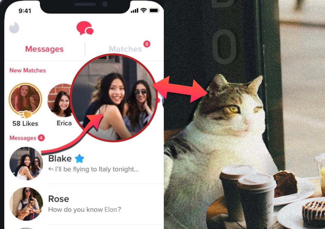 GM ☕️

I had a date on tinder in a coffee yesterday. I don't mean to be rude but. 

It's not the same person.
Be careful

Have a good day

*I put some screens in case

#cat #tinder #nft #bsc #cabo #solana #date