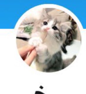 💙SULTAN tweet media