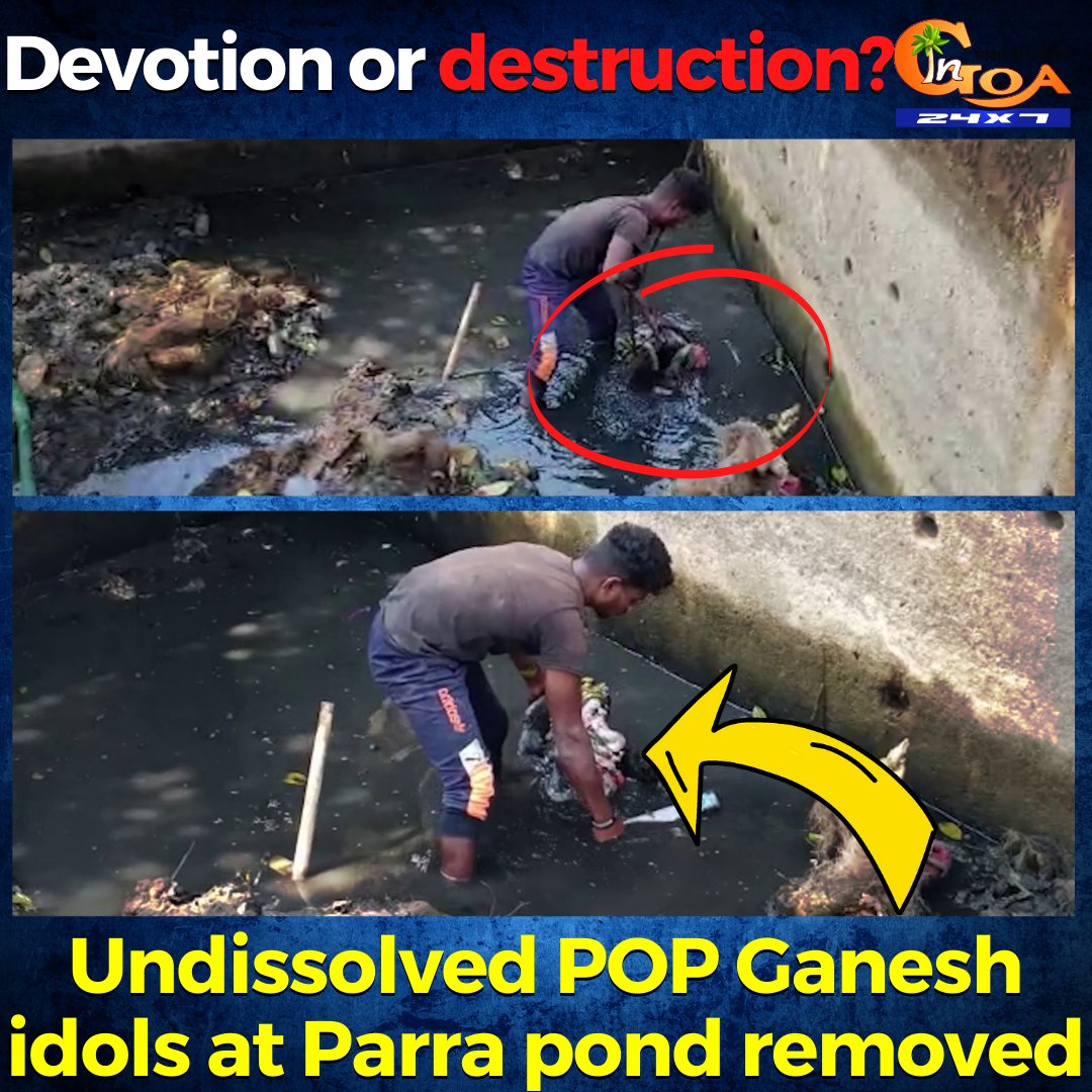 InGoa24x7's tweet photo. Devotion or destruction? Undissolved POP Ganesh idols at Parra pond removed
WATCH : https://t.co/M0mHLV5nFj
#Goa #GoaNews #pond #cleaned #undissolved #Ganesh #idols #Parra https://t.co/RAgimnXyBg