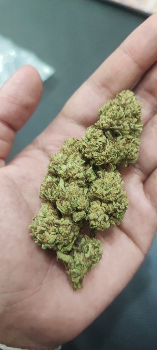 Uniprotra's tweet image. สตอเบอรี่ คุช   กลึ่งอินดอร์ 
1กรัม / 100 บาท
#กัญชา #กัญชาออแกนิค #กัญชาราคาถูก  #กัญชาราคาส่ง