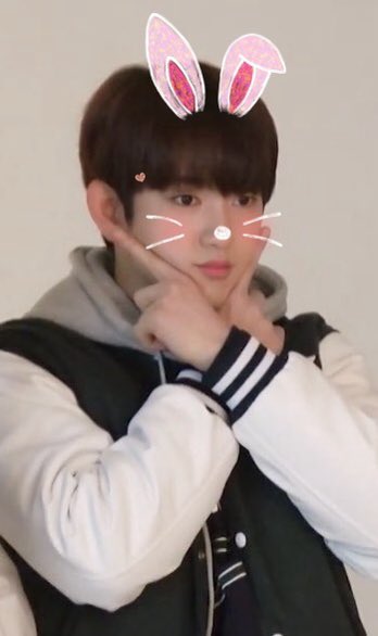 농담 tweet media