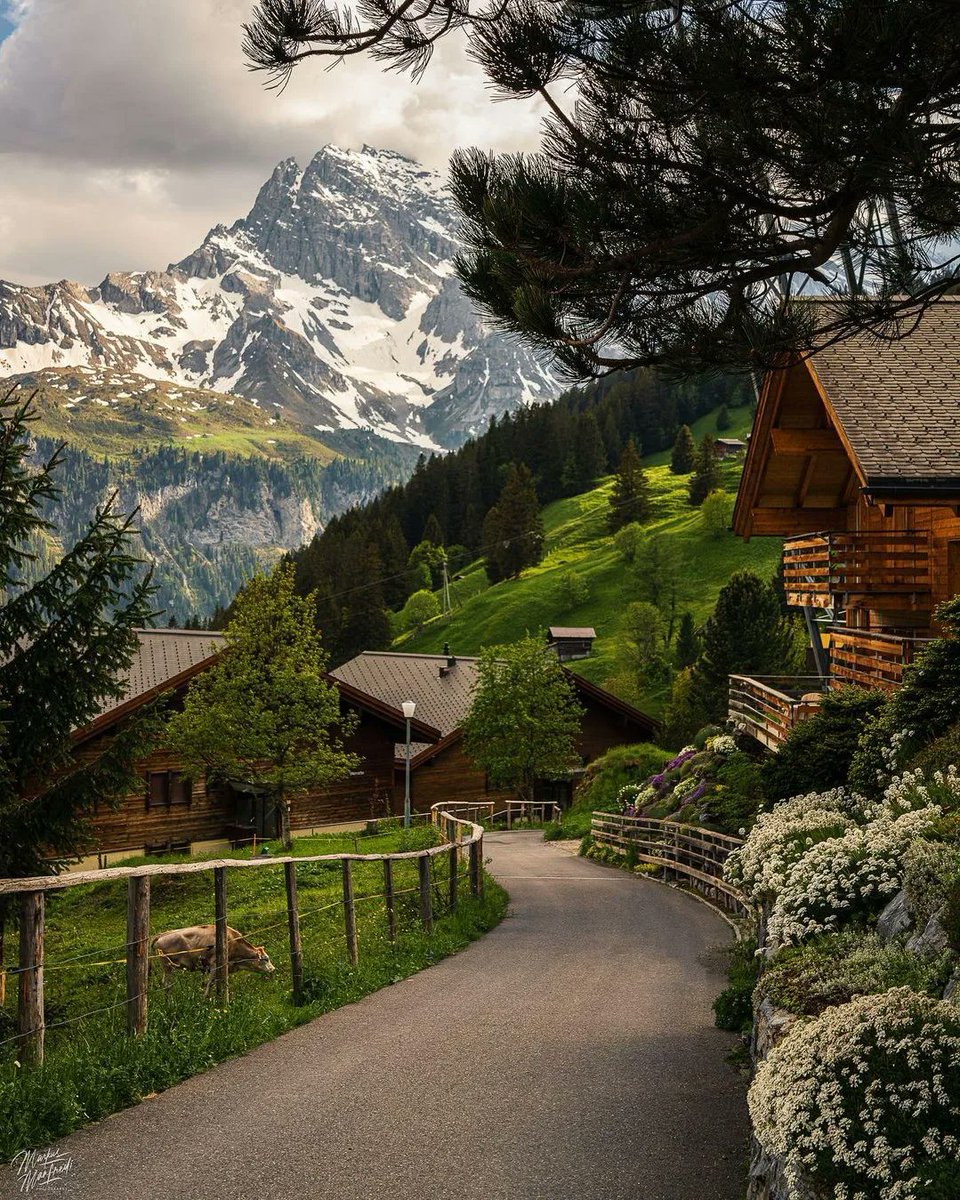 reach_anupam's tweet photo. I sometimes look at images from Switzerland and think – this is why postcards were created. Picture-perfect landscapes and roads that you want to keep following on your motorcycles. Time to make some plans! Are you in?

Captured by - @swissaround

#switzerland #travel https://t.co/vGY0wH5j25