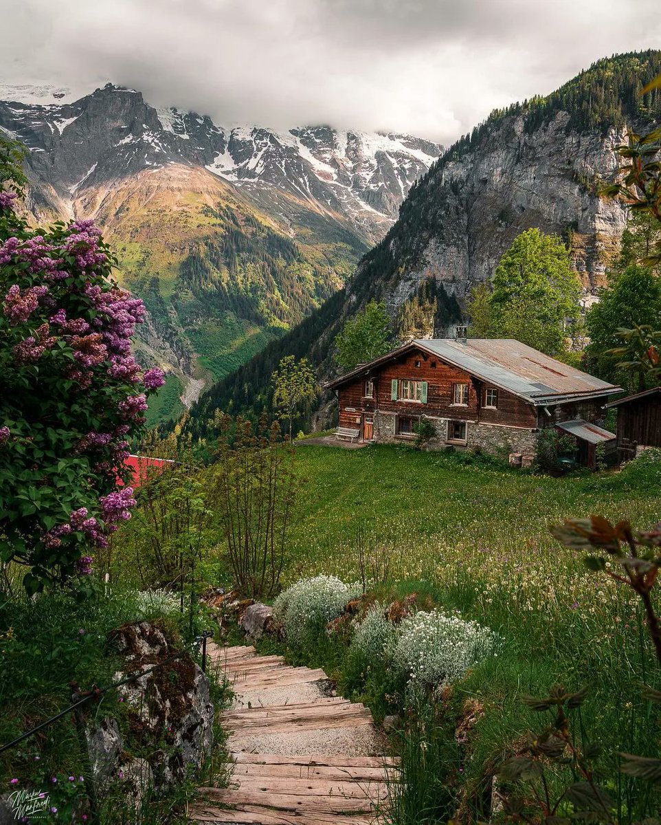 reach_anupam's tweet photo. I sometimes look at images from Switzerland and think – this is why postcards were created. Picture-perfect landscapes and roads that you want to keep following on your motorcycles. Time to make some plans! Are you in?

Captured by - @swissaround

#switzerland #travel https://t.co/vGY0wH5j25