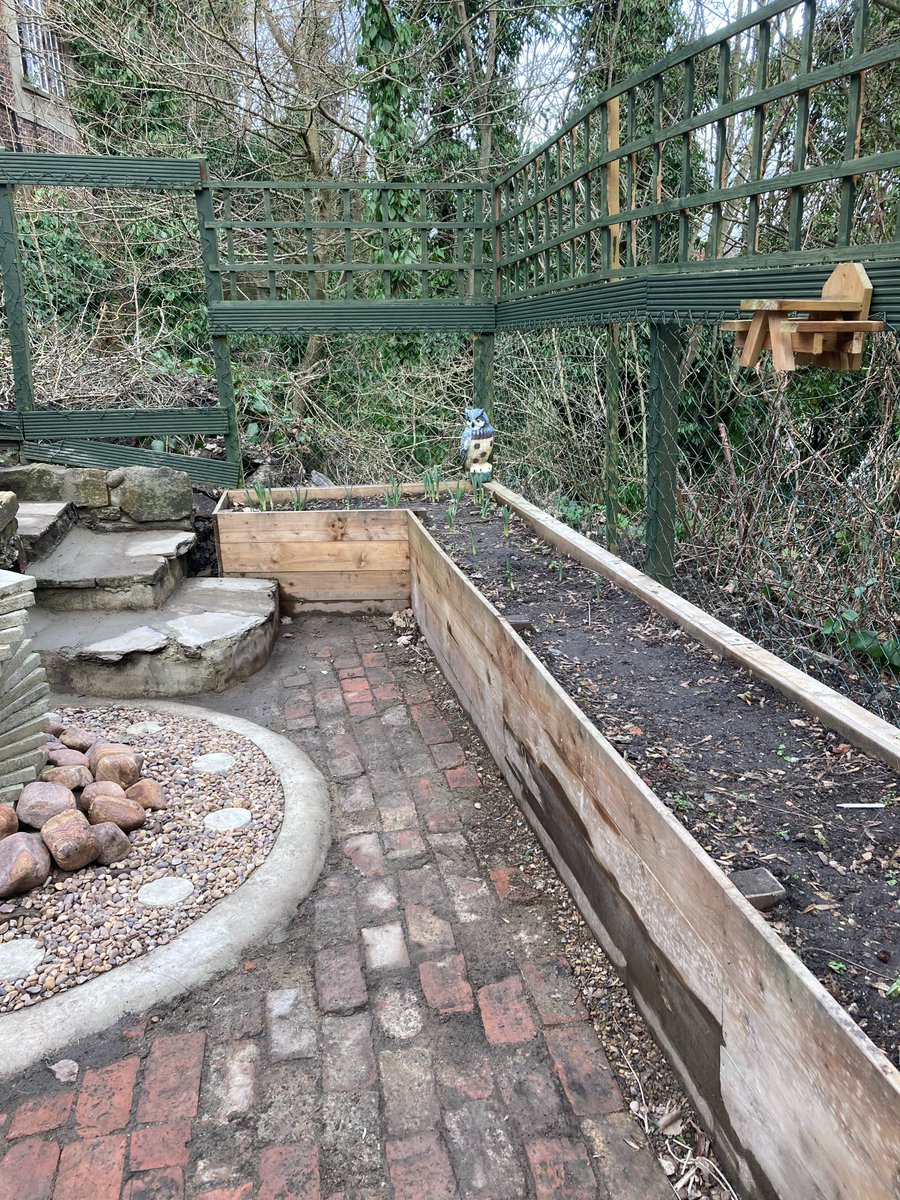 co_financing's tweet photo. In 2022 the Greenlife Project, delivered by Three 13, started to renovate a disused and unsafe garden at the back of Alington House Community Hub in Durham.
Fast forward 12 months and the hard work of 20 participants and the space has been completely revolutionised!
#CFO3 https://t.co/MvLns0TIdr