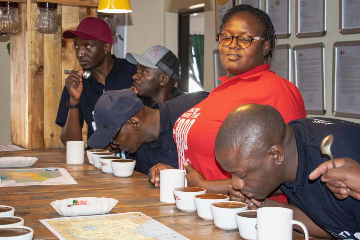 African Coffee Roasters tweet media